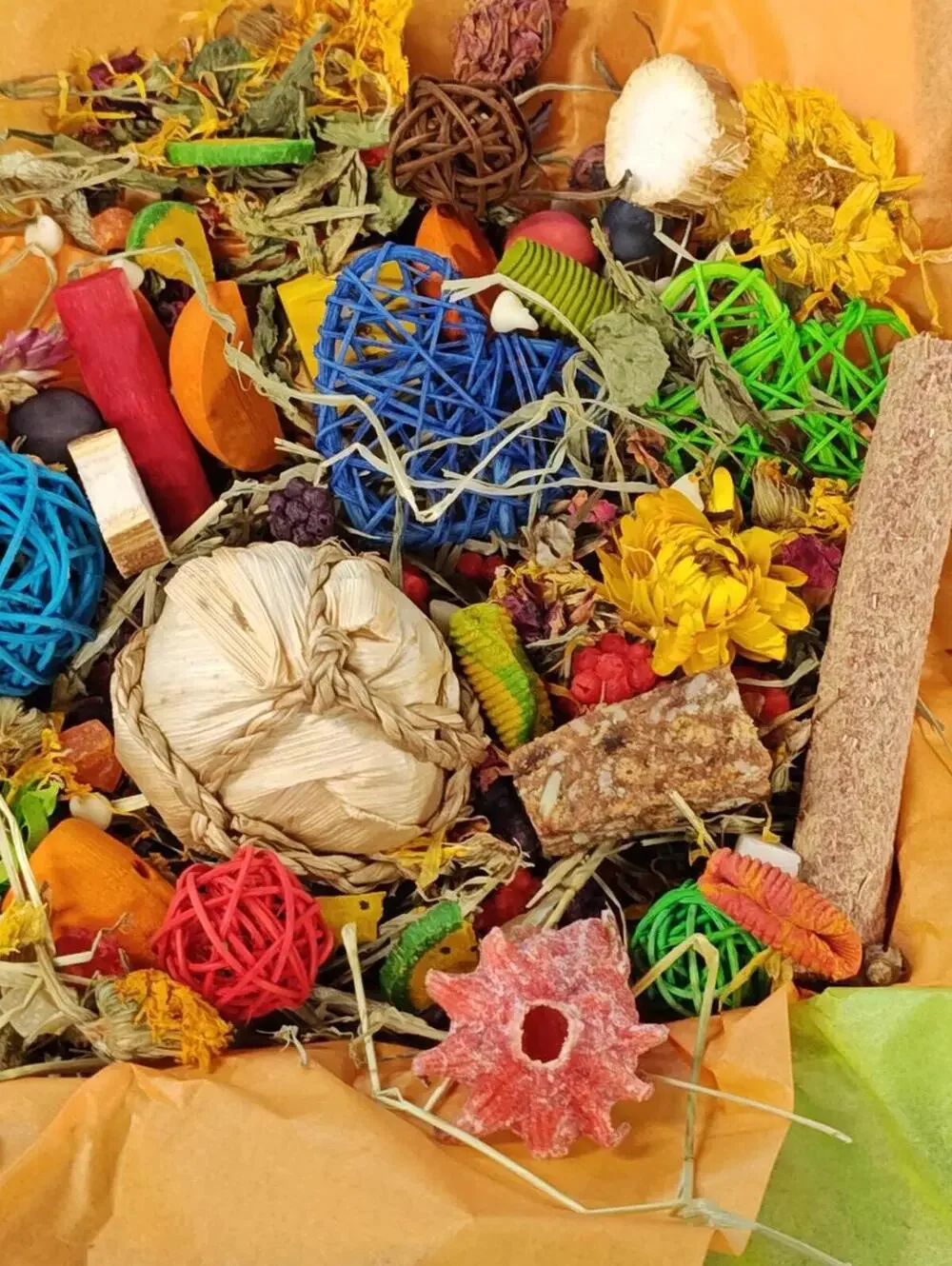 Play & Chew Fun  